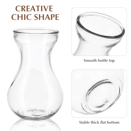 Vase hydroponique en verre transparent CLISPEED déco table et bureau