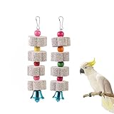 OYUUJII Jouets à Mâcher pour Oiseaux,2 Pièces Pierre Calcium avec...