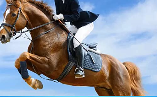 Aictimo Horse Riding Gloves Equestrian Gloves Horseback Gardening Mittens Outdoor Professional Riding Gloves (Black, M) #TOP2