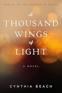 A Thousand Wings of Light: A Novel (English Edition)