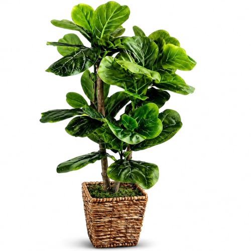 Fake Plant - 3.2ft Faux Fiddle Leaf Fig Tree by LCG Florals in Premium Woven Basket, Fully Assembled, Real Wood Trunk, No Maintenance Faux Indoor Tree for Home Decor