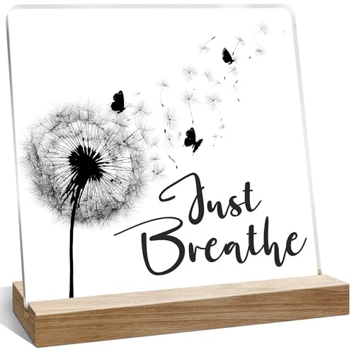Inspirational Office Décor Gifts for Women, Just Breathe Dandelion Decoration, Home Desk Motivational Gifts