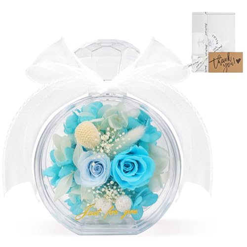 SENJWARM vU[uht[ v[g  a ̓ ͂Ȃ ỉ ͂Ȃ{KN ސEj AWg 2ւKN J[h񂰃{bNXt hV̓ LO t[Mtg u[