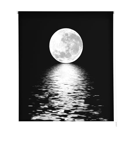 Estoralis PAISAJES | Estor Enrollable Diseño Moderno | Translúcido Estampado Digital | Modelo P-3002 | 130 x 180 cm (Ancho/Alto) Tamaño Tela 127 x 175 cm | Estores para Ventanas y Puertas