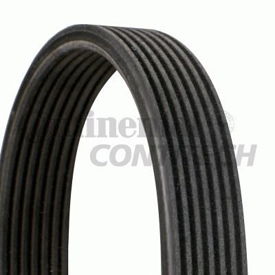 Contitech 7Dpk1697 Cinghia Poly-V