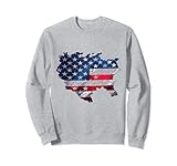 Amerika USA Karte Amerikanische Flagge