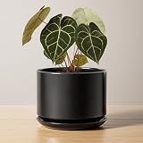LE TAUCI Maceta de Cerámica de 17 cm con Plato y Agujero de Drenaje, Macetero Moderno para Plantas de Interior, Robusta y Duradera, Decoración para Hogar U Oficina, Negro