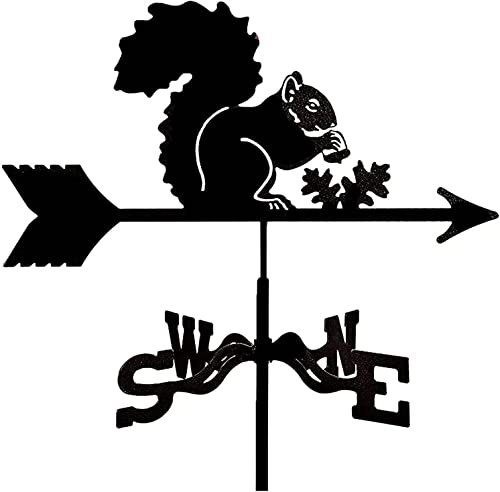 JJDSN Veleta de jardín - Veleta de Metal de Carro Soporte de Techo de jardín Herramienta de medición Profesional Uso fácil,Normal-écureuil Cover