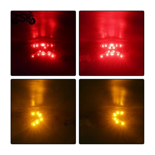 Luz Trasera Universal Moto con intermitentes LED y mica blanca 7