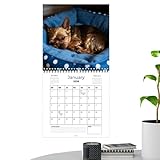 Hundekalender, Monatsplaner, 12 Monate, für Planung und Organisation – verspielter Wandplaner – für Haus, Wohnzimmer, Küche, Wohnung, Tagungsraum, Büro, Urlaub