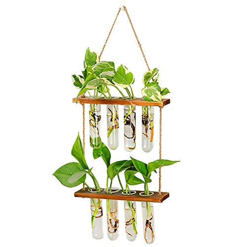 Wall Hanging Planter, 2 Tiered Plant Propagation Stations Plant Terrarium