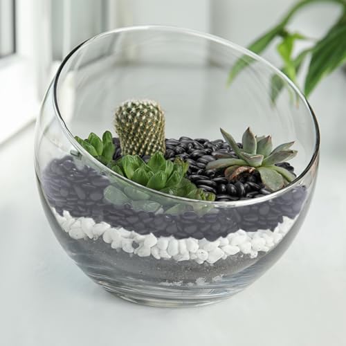 Image of Pulovin 2.5 lbs Black Pebbles for Indoor Plants, Succulent, Bamboo, Vase, 3 /8 inch Plant Rocks for Pots Indoor, Small River Rocks Decorative Pea Gravel, Highly Polished