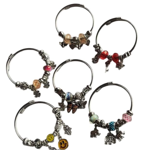 Single pandora Bracelet for Women & Girls Slip on link pandora any one Bracelet Design as per availability (B0CVYFV7J5) Amazon Price History, Amazon Price Tracker
