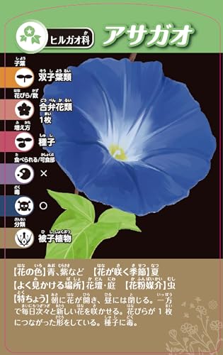 Jeu de cartes de classification des plantes stimule la pensée logique STEM - 7