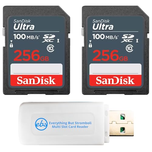 Cartes mémoire SDXC SanDisk 256 Go évitez le manque d'espace sur vos caméras