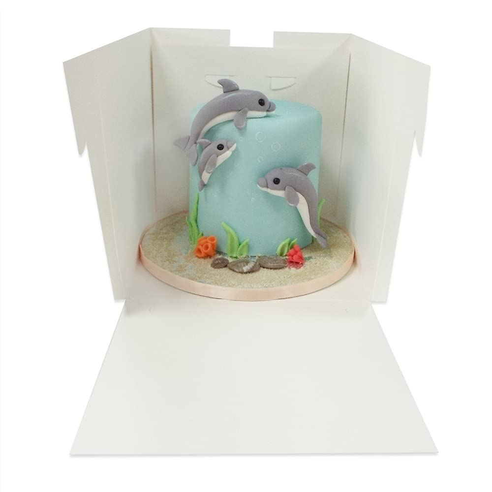 The Cake Decorating Co. Tall Extra Deep White Cake Box with Window 10"