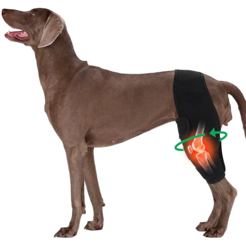 Kouser Dog Brace Hind Leg, Back Leg Support for TPLO Recovery, ACL Surgery, Wounds or Skin Issues, After Surgery Dog Recovery Suit & Cone Collar Alternative, fit Male/Female Puppy(XL, Black)