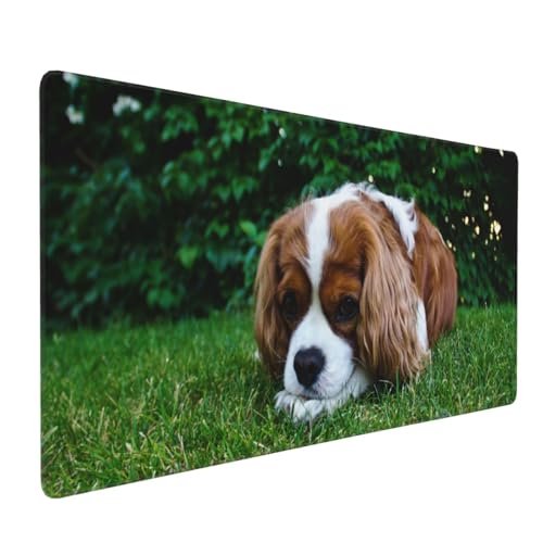 Tapis de souris grand format Cavalier King Charles imprimé haute définition - 2
