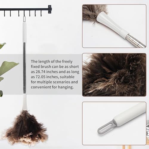 Image of Feather Duster, Ostrich Feather Duster Replacement Head, Reusable Ostrich Feather Duster, Brown (Replacement Head Only)