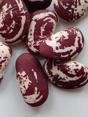 SEMI FAGIOLO LIMA (FAGIOLO DEL PAPA)