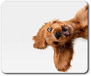 Destination Vinyl Ltd English Cocker Spaniel Puppy Dog Mouse Mat Pad Computer PC Laptop Gaming Office Home Desk Accessory Gadget 21501