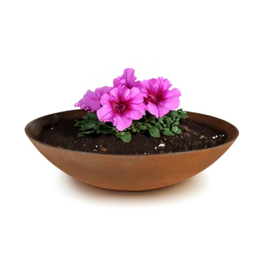 matches21 wetterfeste Pflanzschale für draussen - große Dekoschale in...