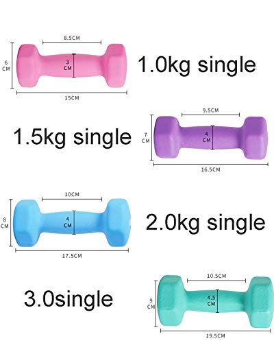 Dumbbell Weight Fitness Weight Dumbbells Hand-Held Weights Hexagonal Weights With Rubber Coating Non-Slip Home Fitness… - Afbeelding 3