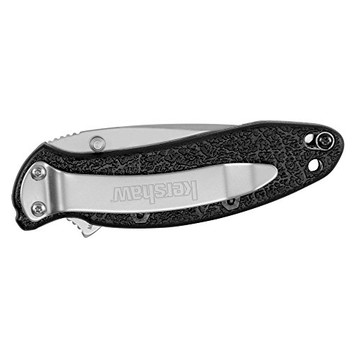 Kershaw Scallion Serrated (1620St), Edc Folding Pocketknife, 2.4-Inch 420Hc Steel Blade, Bead-Blasted Finish, Textured Glass-Filled Nylon Handle, Speedsafe Assisted Opening, Dual Blade Lock, Single-Position Pocketclip, 2.3 Oz. #TOP3