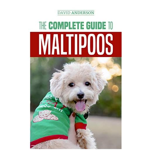 The Complete Guide to Maltipoos: Everything you need to know before getting your Maltipoo dog