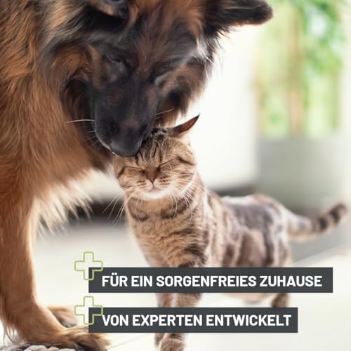 ReaVET Giardien-Spray 500 ml – Hygiene-Spray für Hund & Katze I wissenschaftlich Belegter Wirkstoff I Umgebungsspray zur Desinfektion gegen Giardien, Viren, Bakterien & Pilze