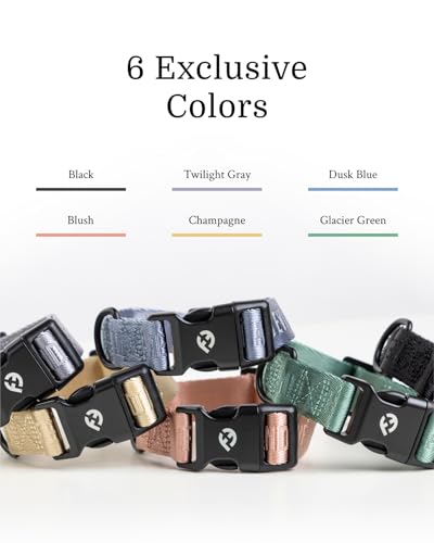 Collier classique pour chien Fei & Eve noir en nylon S réglable - 8