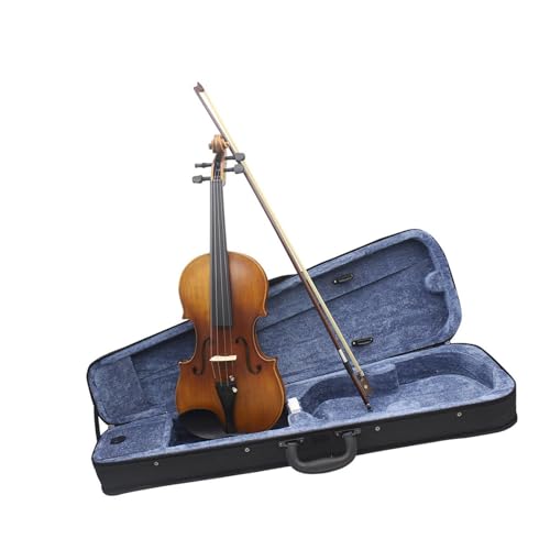Violon instruments à cordes 4/4 vintage avec accessoires en bois pour adulte