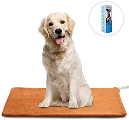 chihuahua heating pad