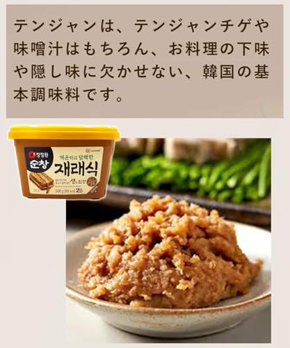 CHUNG JUNG ONE - Doenjang Sojabohnenpaste, (1 X 500 GR)