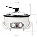 Upgrade Coffee Roaster Machine for Home Use, 110V Household Electric Coffee Bean Roaster with Timer, 0-240℃ Temperature Adjust