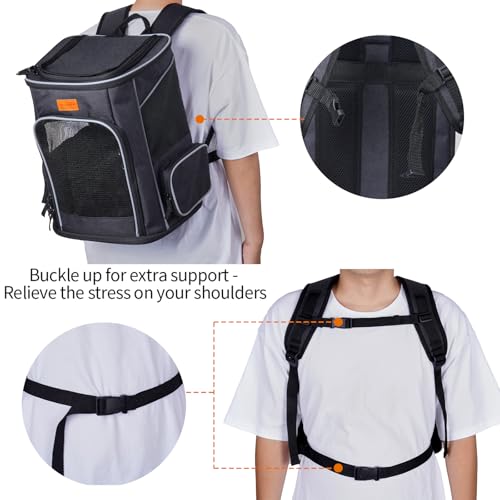 Morpilot Katzenrucksack, Hunderucksack für Katzen und Hunde Welpen, Atmungsaktive und Faltbare Haustier Rucksack mit Transparentes Fenster und Anti-offener Reißverschluss
