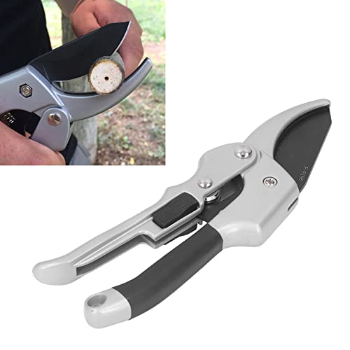 Tesoura de galho, tesoura de poda lâmina pontiaguda, economia de trabalho à prova de ferrugem para p