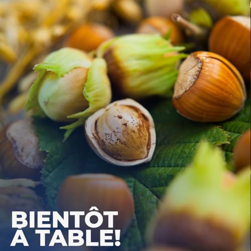 La noisette: un march&eacute; sous tension