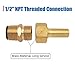 Swimming Pool Spa Brass Deck Jet Nozzle 590041 R0560400 Replacement for Zodiac Deck Jet Water Design-1/2 NPT,4 Pack