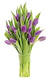 KaBloom PRIME NEXT DAY DELIVERY - Mother’s Day Collection - PREMIUM 20 Purple Tulips | Gift for Birthday, Sympathy, Anniversary, Get Well, Thank You, Valentine, Mother’s Day Fresh Flowers