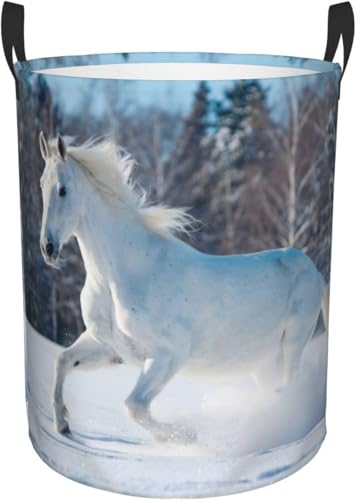 ~̔n eʖhh[oXPbg ܂ݑeʐ󕨂 ی^t[{bNX M