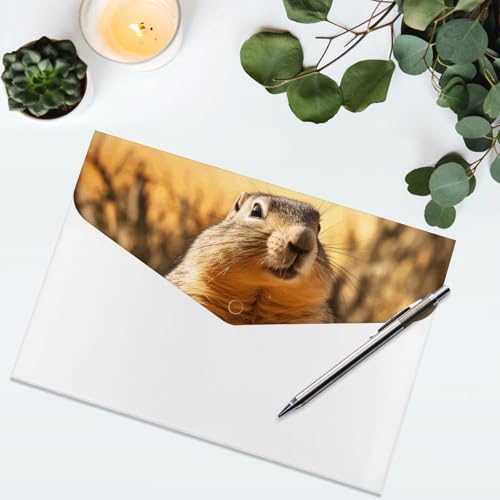 Organiseur documents marmotte : rangement efficace 6 compartiments - 5