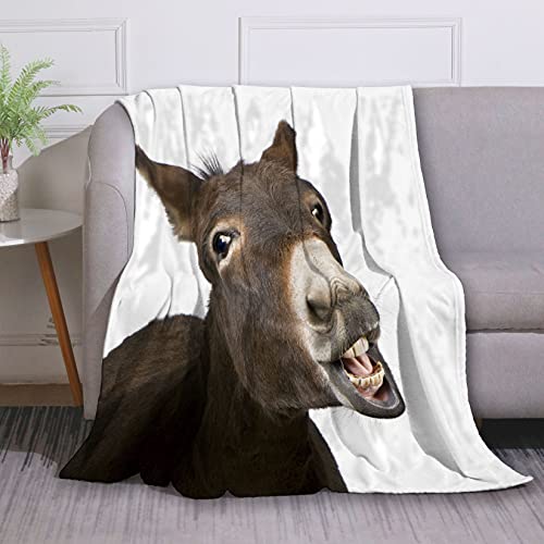 Our Best Bedding For Donkeys