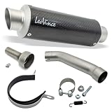 LeoVince silencieux d'échappement GP CORSA RACING Carbone & DB Killer compatible avec KTM Duke 125/390 Année 2021 2023 E5