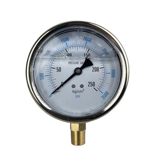 Manomètre YN-100 en acier inoxydable pour mesures industrielles 3/8PT