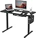 Produktbild FLEXISPOT EN1B-EU+PR1206-Black Stehschreibtisch, elektrisch höhenverstellbar, mit Speicher-Bedienfeld, Metall, schwarzer Rahmen + Schwarze Platte, 120 x 60 cm