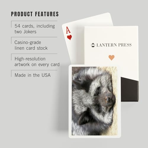 Lantern Press Silver Fox, 52 naipes para adultos, tamaño póker miniatura 3