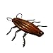 Coconut Float Gigantic 70" Cockroach Inflatable Raft & Pool Float (5.8'), 70" x 5.8"