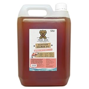 True Dog 100% Pure Scottish Salmon Oil 5ltr – Salmon Oil for Dogs & Cats – Omega 3, 6 & 9 – Skin and Coat health | Joint & Mobility Support