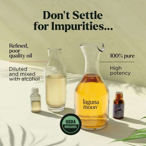 Essential Oils Set - Top 20 Organic Gift Set Oils For Diffusers, Humidifiers, Massages, Aromatherapy, Candle Making, Soap Making - Peppermint, Tea Tree, Lavender, Eucalyptus, Lemongrass (10Ml) #TOP3